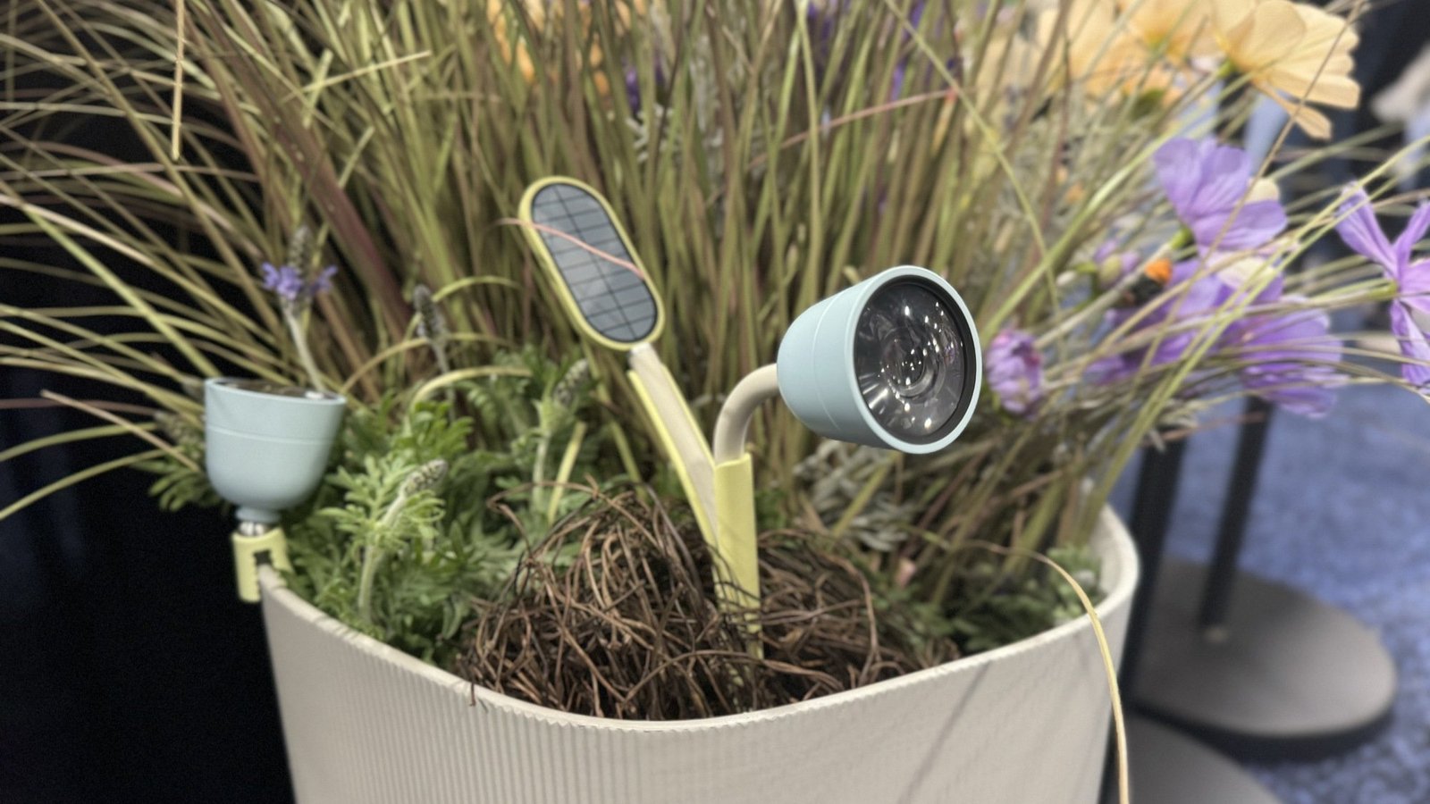 the petal smart nature camera at ces 2025