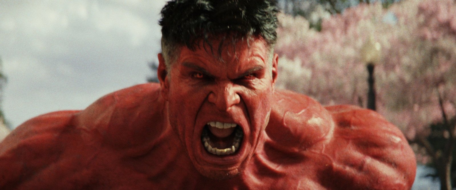 Harrison Ford plays Thaddeus "Thunderbolt" Ross in Captain America: Brave New World.